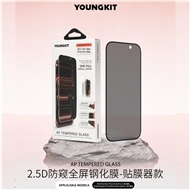 گلس ، محافظ صفحه Youngkit Privacy Glass یانگ کیت آیفون مناسب برای Apple iPhone 16 Pro Max