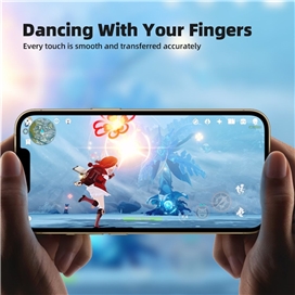 گلس فول BLUEO Full Cover Anti Glare Matte Glass Anti Static مناسب برای Apple iPhone 13 Pro Max