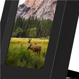 شارژر بی سیم برند Twelvesouth مدل PowerPic