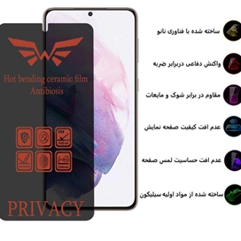 محافظ صفحه نمایش حریم شخصی اپیکوی مدل Nano-Privacy مناسب برای گوشی موبایل سامسونگ  S20 Plus