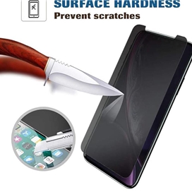 محافظ صفحه نمایش حریم شخصی اپیکوی مدل Cactus-ESD-Privacy مناسب برای گوشی موبایل اپل Apple iPhone 13 Pro Max