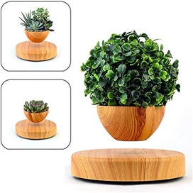 گلدان معلق Babylonia مدل tiny garden