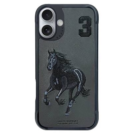 کاور سانتا باربارا پولو مدل BORIS مناسب برای گوشی موبایل اپل آیفون 16