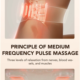 ماساژور الکتریکی کمر اس کی جی SKG W7 Pro Waist Massager