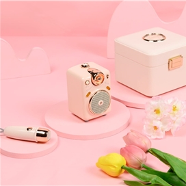 اسپیکر بلوتوثی برند دیووم Divoom مدل Fairy-OK