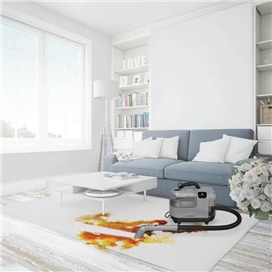 بخارشوی چند کاره آب داغ و بخار قدرتمند Powerology